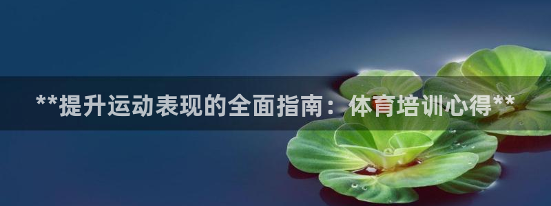 欧陆娱乐官网首页网址：**提升运动表现的全面指南：体