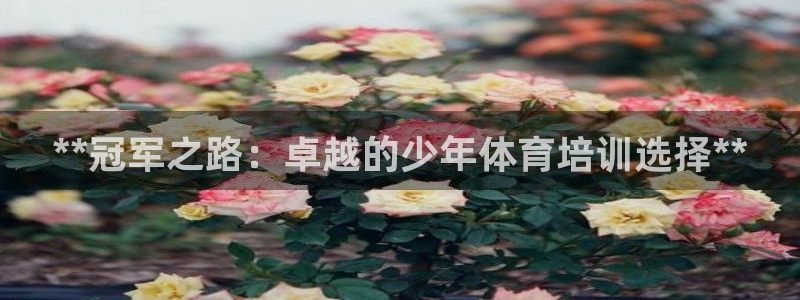 欧陆娱乐官方网站入口：**冠军之路：卓越的少年体育培