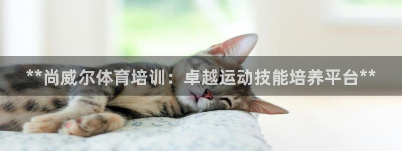 欧陆娱乐计划预测软件有哪些：**尚威尔体育培训：卓越