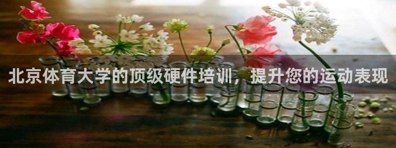 欧陆娱乐会员有什么用：北京体育大学的顶级硬件培训，提