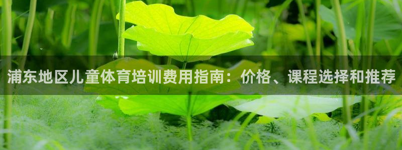 欧陆娱乐平台优势：浦东地区儿童体育培训费用指南：价格