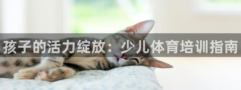 欧陆娱乐计划预测软件哪个好：孩子的活力绽放：少儿体育