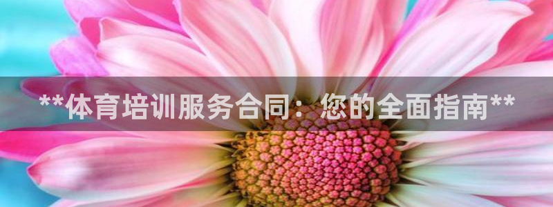 欧陆娱乐怎么注册帐号：**体育培训服务合同：您的全面