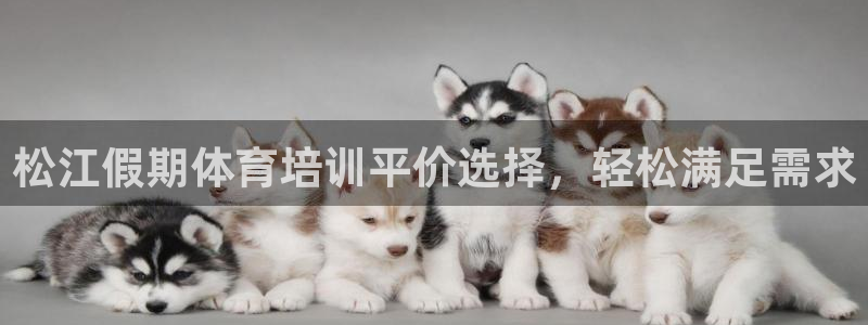 欧陆娱乐客服服务：松江假期体育培训平价选择，轻松满足