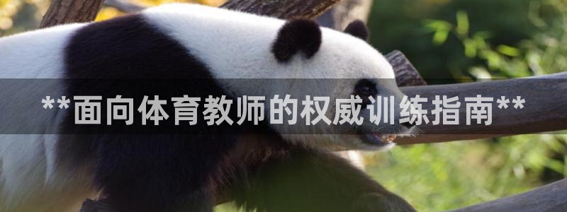 重庆欧陆娱乐有限公司怎么样：**面向体育教师的权威训