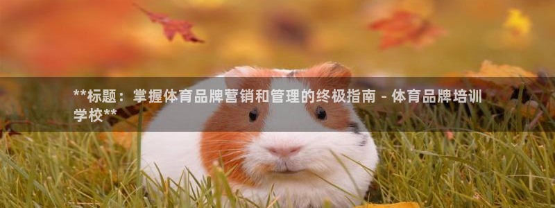 欧陆娱乐出款：**标题：掌握体育品牌营销和管理的终极