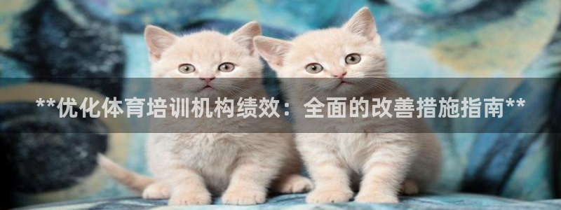欧陆娱乐登陆平台官网：**优化体育培训机构绩效：全面