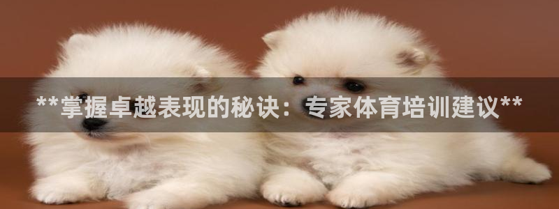欧陆娱乐访问：**掌握卓越表现的秘诀：专家体育培训建