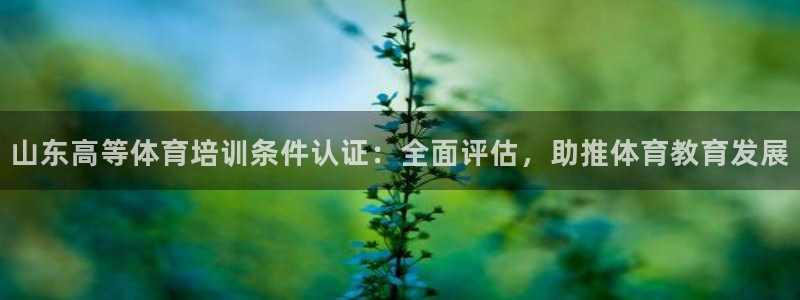 欧陆娱乐提现多久到账：山东高等体育培训条件认证：全面评估，助