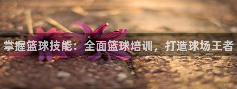 欧陆娱乐app下载：掌握篮球技能：全面篮球培训，打造球场王者