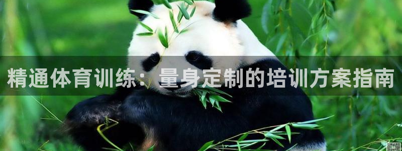欧陆娱乐注册代理多少钱一个月：精通体育训练：量身定制